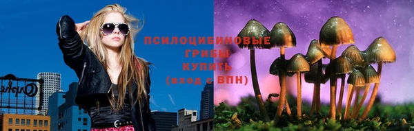 соль ск Алексеевка