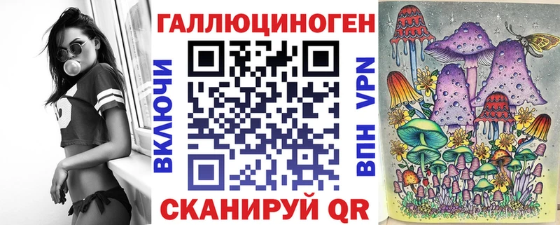 блэк спрут зеркало  Гдов  Галлюциногенные грибы GOLDEN TEACHER 